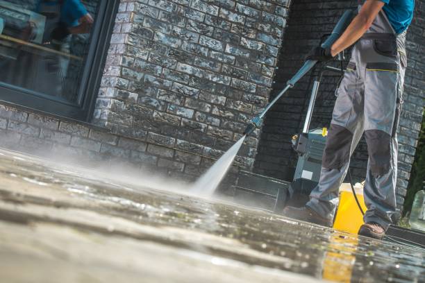 Best Gutter Cleaning and Brightening in Flemington, PA